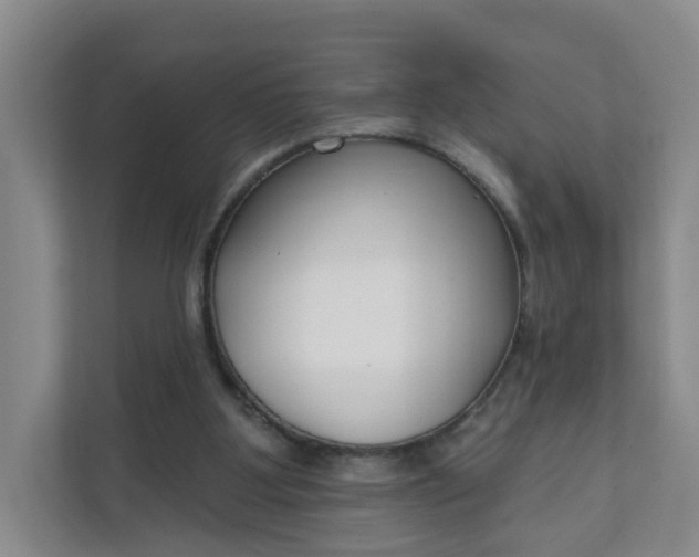 X0000111890107200908061342