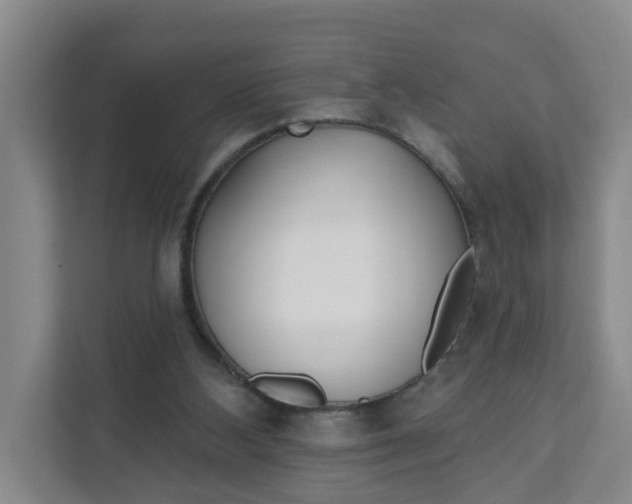 X0000111890108200908061342