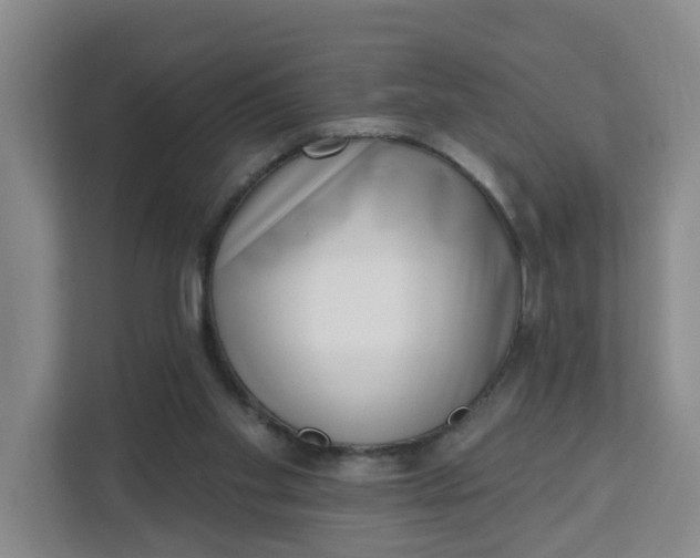 X0000111890109200908061342