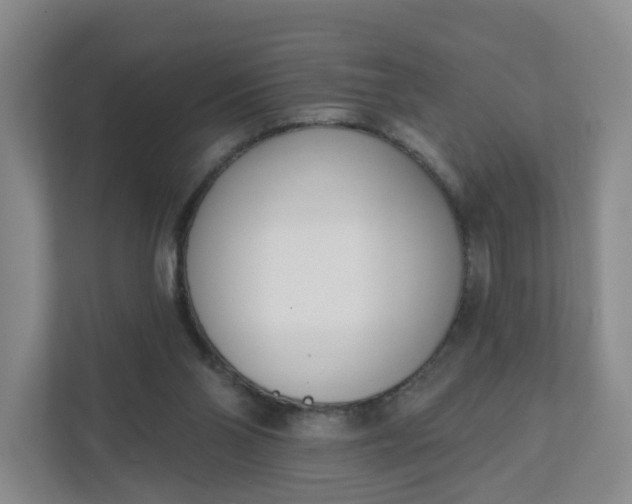 X0000111890110200908061342