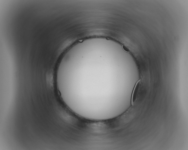 X0000111890112200908061342