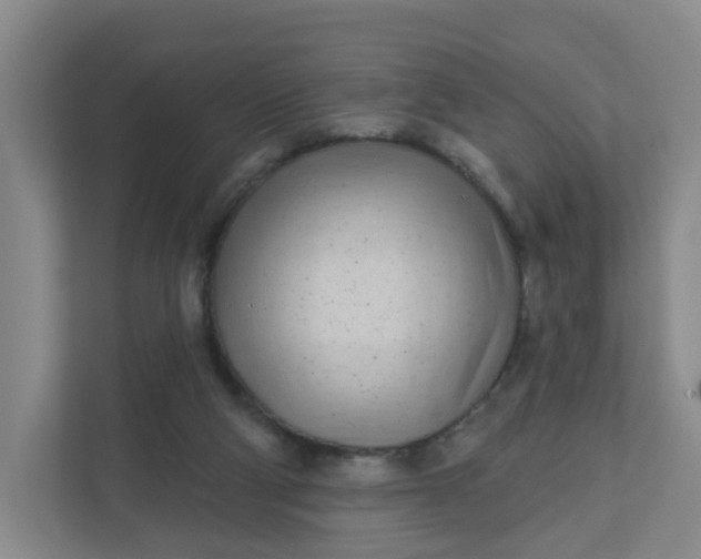 X0000111890114200908061342