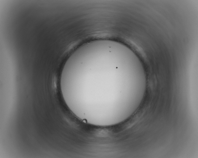 X0000111890115200908061342