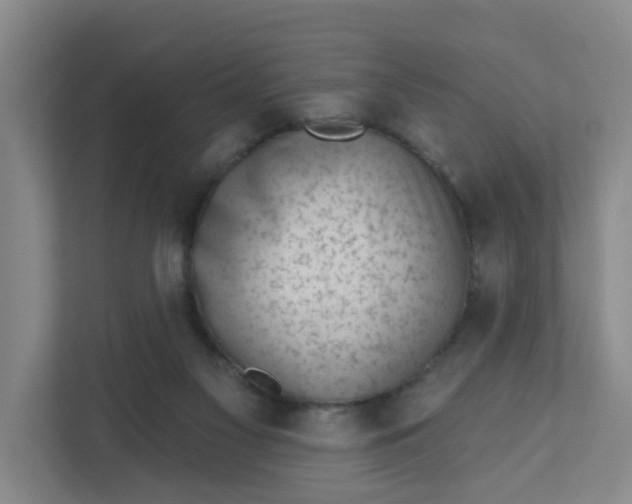 X0000111890117200908061342