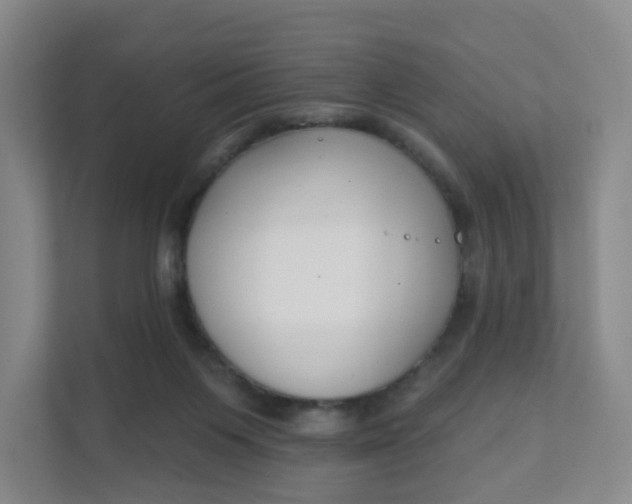 X0000111890119200908061342