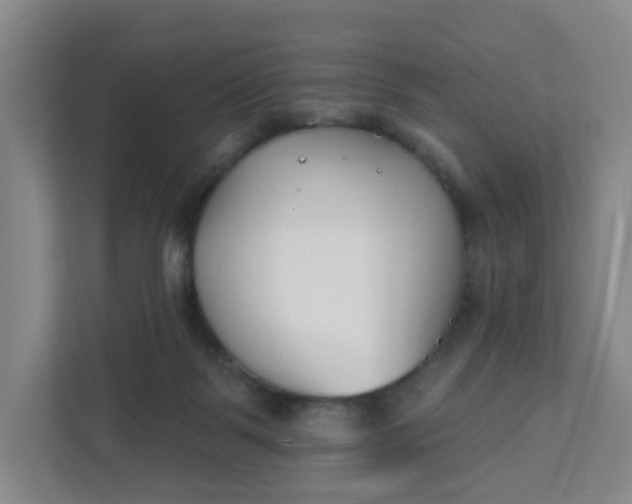 X0000111890123200908061341