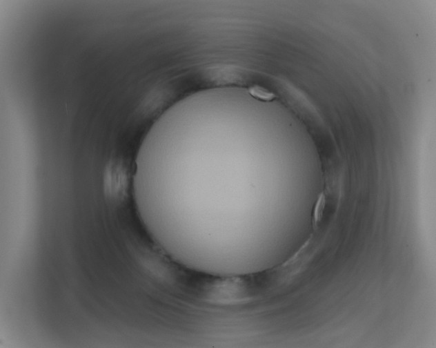 X0000111890124200908061341