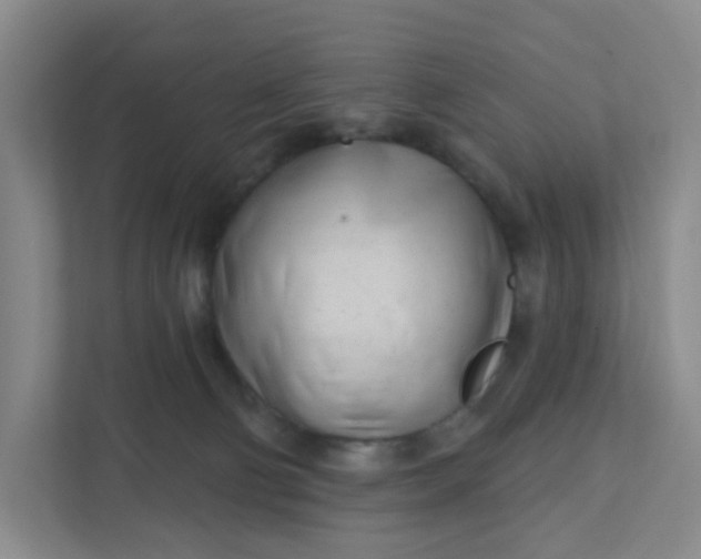 X0000111890130200908061341