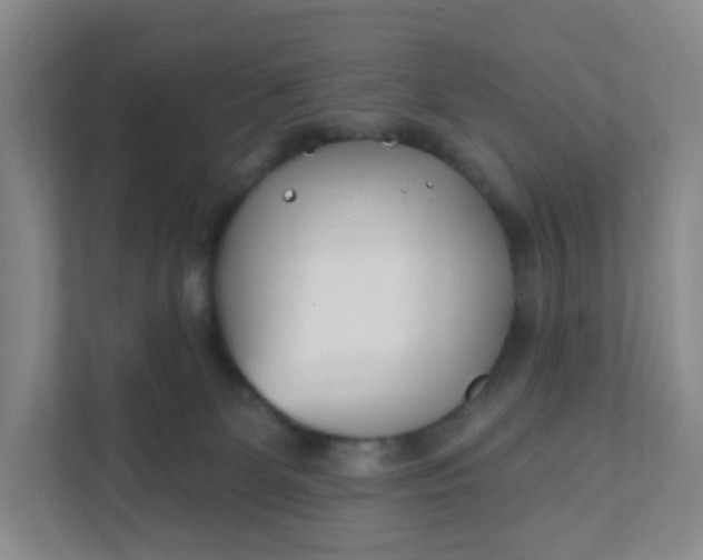 X0000111890131200908061341