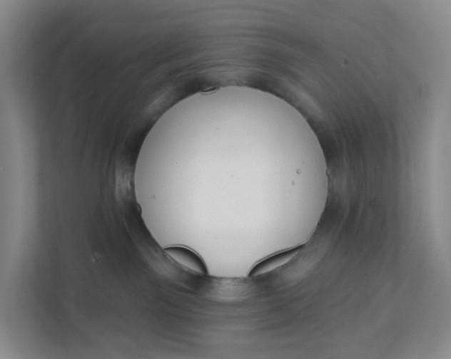 X0000111890141200908061341