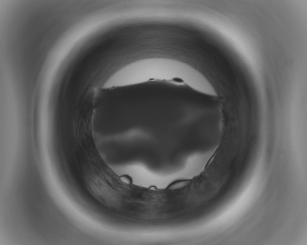 X0000111890143200908061341