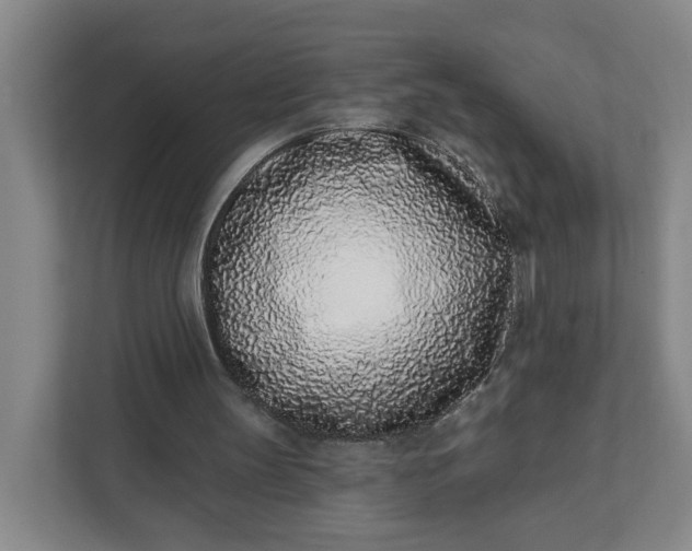 X0000111890147200908061341