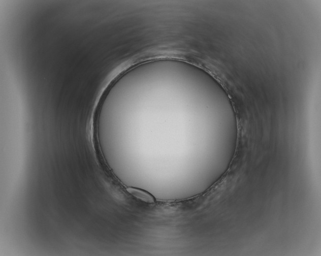 X0000111890148200908061341