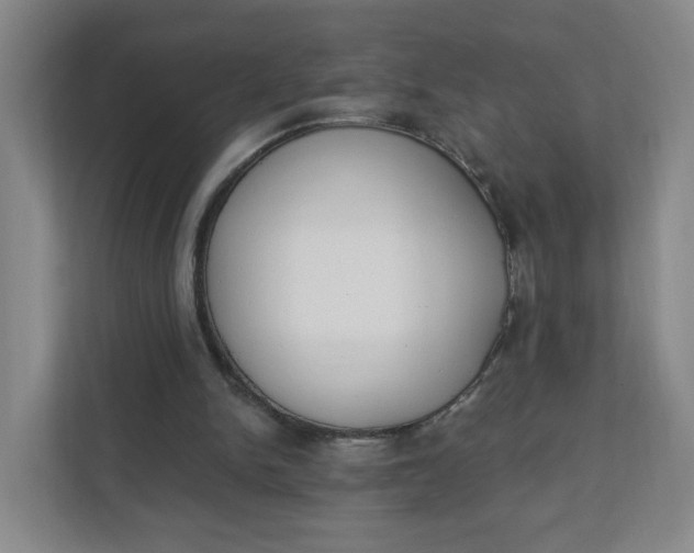 X0000111890150200908061341