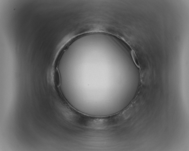 X0000111890152200908061341