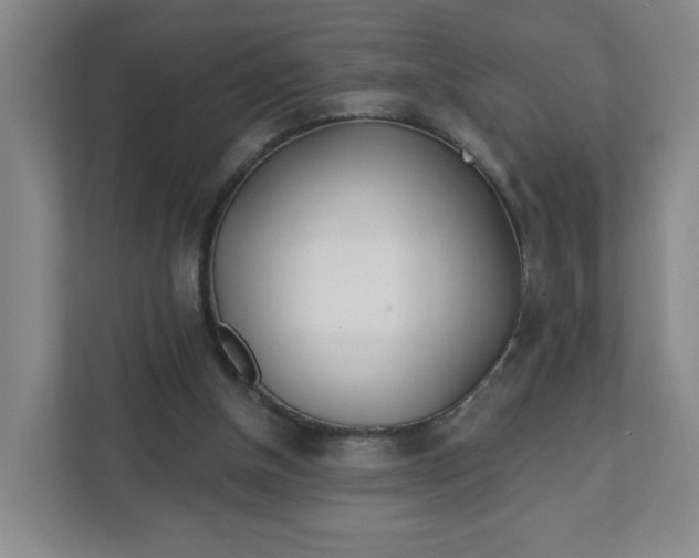 X0000111890154200908061341