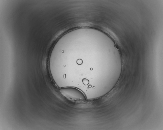 X0000111890155200908061341