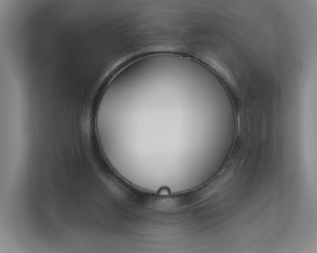 X0000111890156200908061341