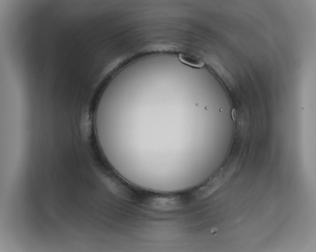 X0000111890160200908061341