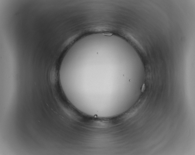 X0000111890164200908061341