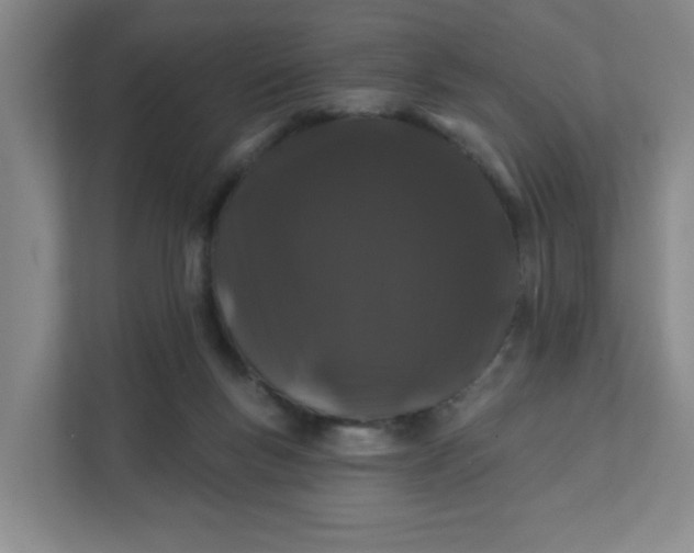 X0000111890167200908061341