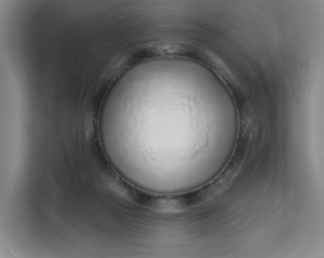 X0000111890169200908061341