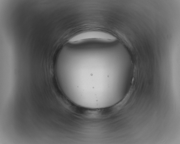 X0000111890170200908061341