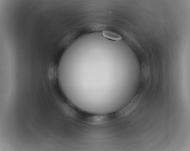 X0000111890172200908061341