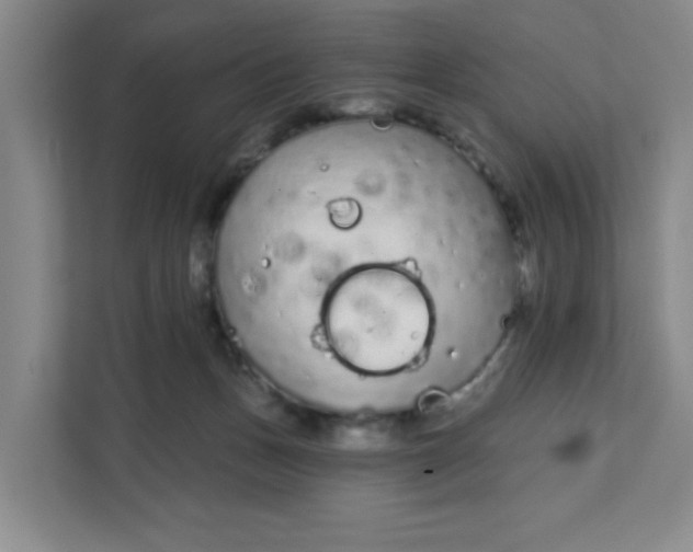 X0000111890175200908061341