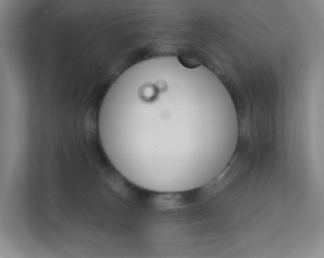 X0000111890179200908061341