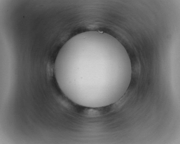 X0000111890180200908061341