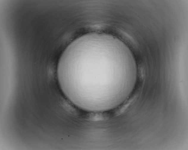 X0000111890181200908061341