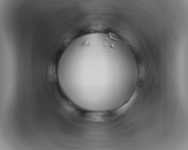 X0000111890182200908061341