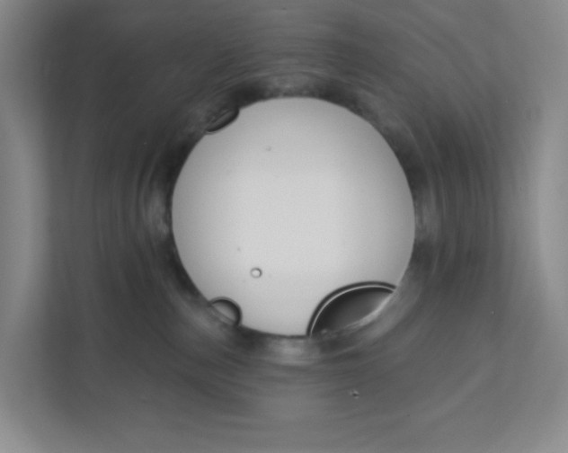 X0000111890187200908061341