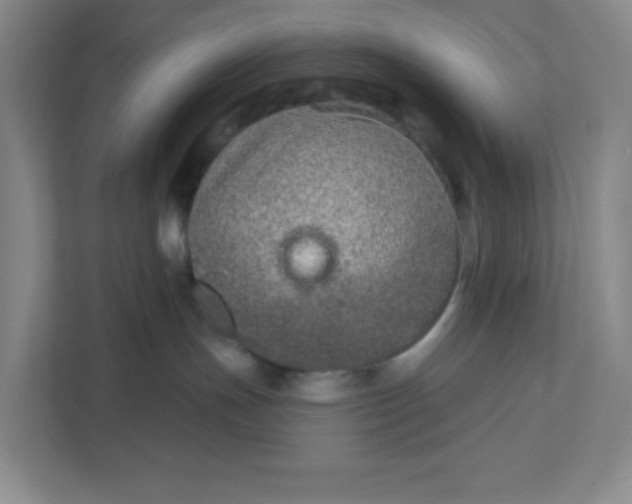 X0000111890191200908061341