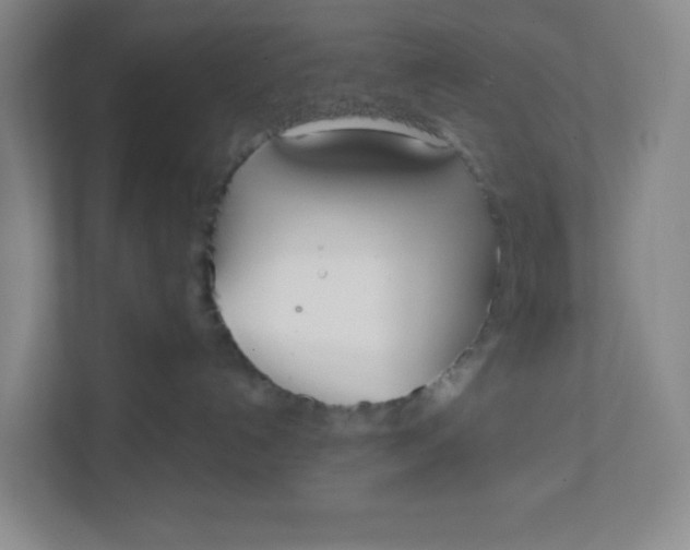 X0000111890192200908061341