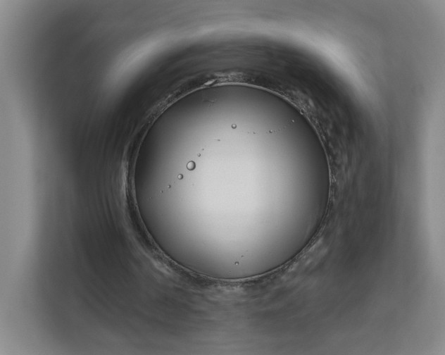 X0000111890194200908061341