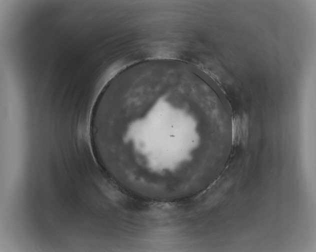 X0000111890195200908061341