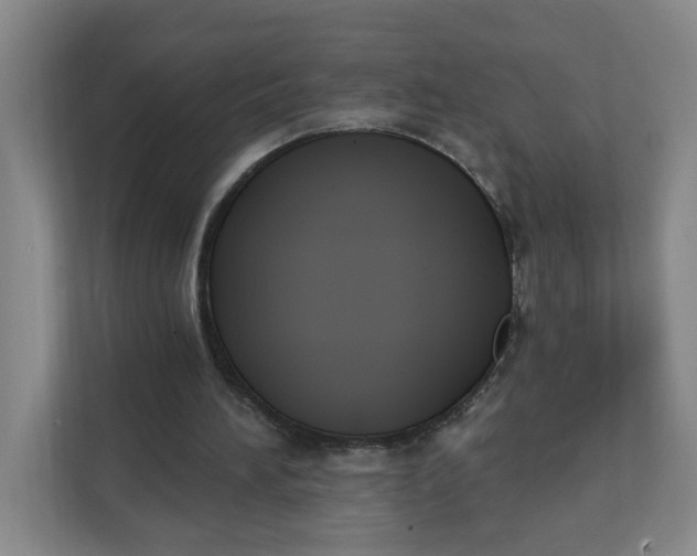 X0000111890196200908061341