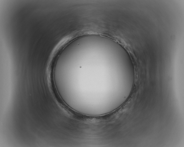 X0000111890197200908061341