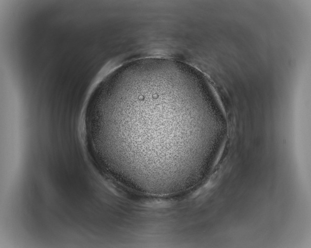 X0000111890198200908061340