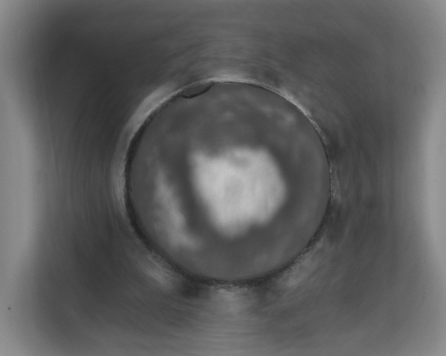 X0000111890199200908061340