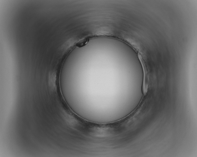 X0000111890201200908061340