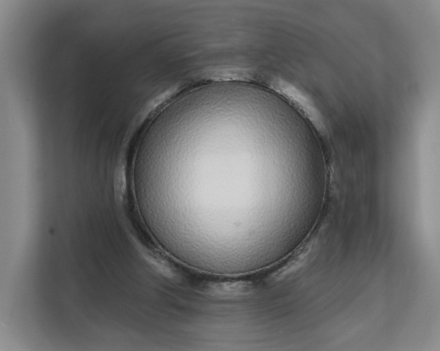 X0000111890202200908061340