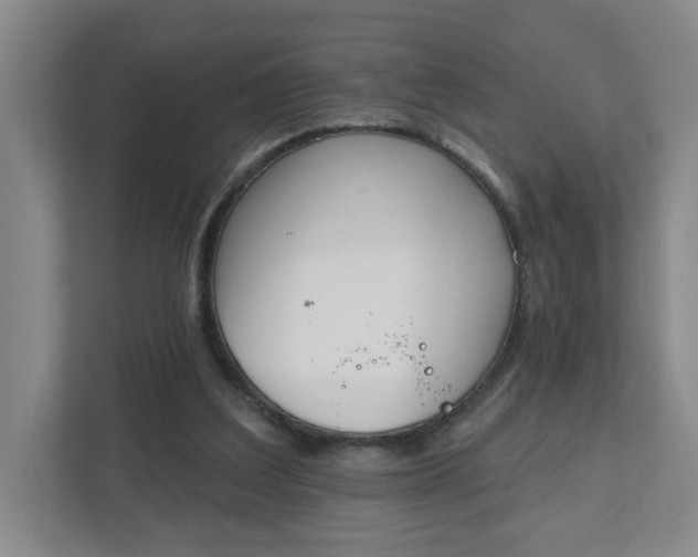 X0000111890203200908061340