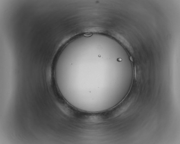 X0000111890204200908061340