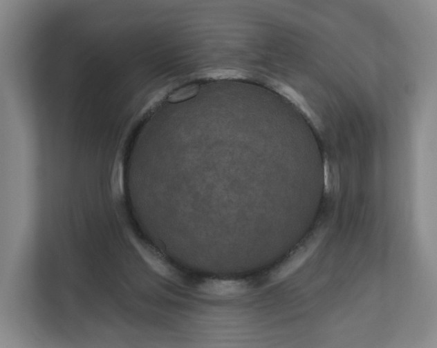 X0000111890205200908061340