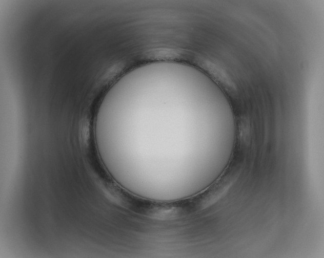 X0000111890206200908061340