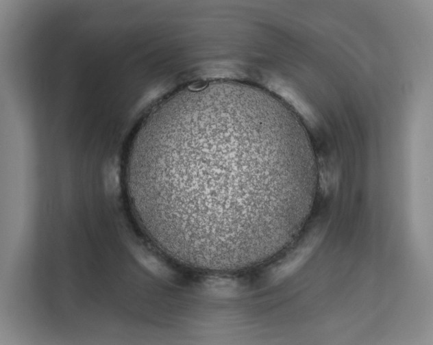 X0000111890207200908061340