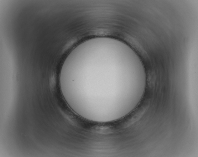 X0000111890208200908061340